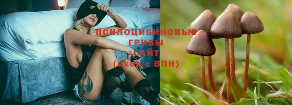 винт Белоозёрский