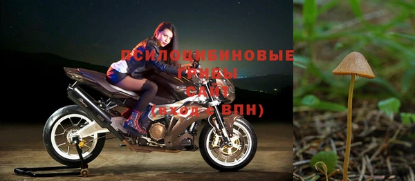 соль ск Богданович